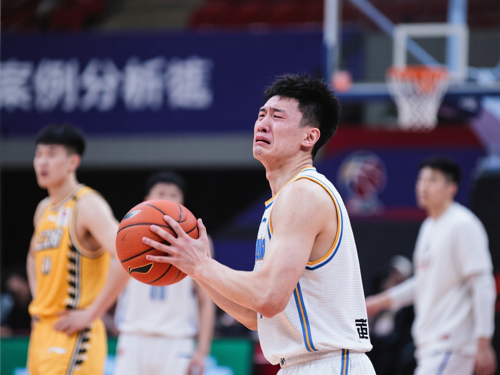 导航和搜索 导航和搜索