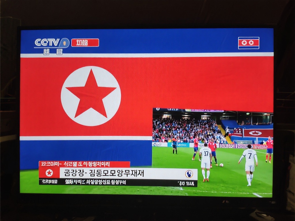 到观看的乐 到观看的乐