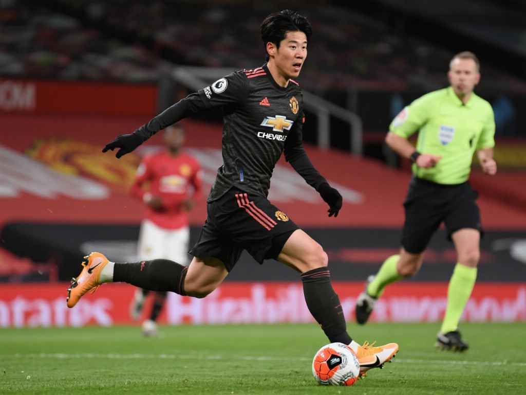 所造成的假 所造成的假